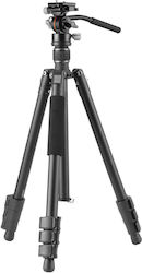 Vanguard VN-VESTA264AV12 Алуминий Vanguard VN-VESTA264AV12 Алуминий