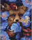 Twoje Hobby Fox in Flowers Σετ Ζωγραφικής 50x40cm