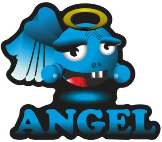 Αυτοκολλητο Διακοσμητικο Universal Angel Lux Label 2pcs 5002p Print