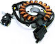 Suzuki Coils Motorcycle 114876