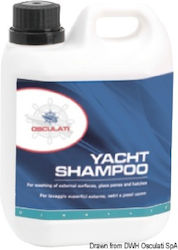 Boat Cleaning Shampoo Low Foam 1l Boat Cleaning Shampoo Low Foam 1l