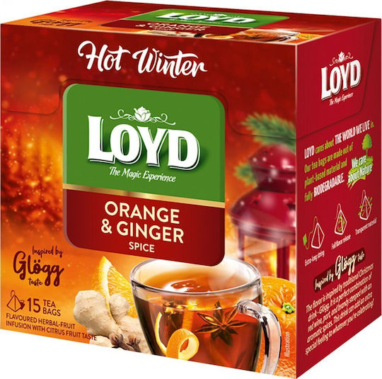 Loyd Τσάι Hot Winter Πορτοκάλι & Τζίντζερ 15 Φακελάκια