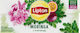 Lipton Lipton Kräutertee Mit Geschmack Moringa Passionsfrucht 18 G 20 Beutel