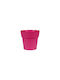 Viomes Pot Rose