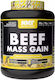 Nxt Nutrition Beef Mass Gain Протеин с Вкус Pineapple Cooler 3.15kg