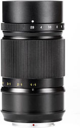 Mitakon Creator 85mm F2.8 1-5X Super Macro APO Cadru de cultură pentru montură Fujifilm X Mitakon Creator 85mm F2.8 1-5X Super Macro APO Cadru de cultură pentru montură Fujifilm X