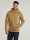 Sweatshirt mit Kapuze Braun
