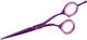 Progline Procut Haarschneideschere 5.5"