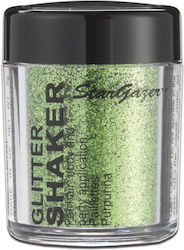 Stargazer Holo Glitter Shaker-pernoid