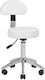 Salon Tech Wheeled Stool with Backrest White