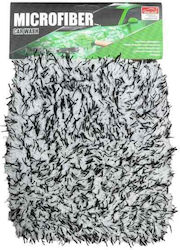 Car Cleaning / Washing Glove
