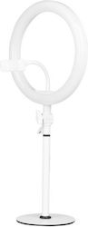 Salon Tech 127938 Ring Light με Τρίποδο Salon Tech 127938 Ring Light με Τρίποδο
