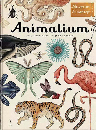 Animalium. Muzeum Zwierząt Animalium. Muzeum Zwierząt