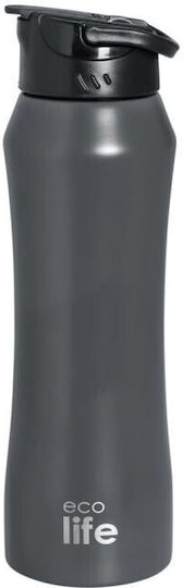 Ecolife Recyclable Bottle Thermos Stainless Steel / Plastic BPA Free 550ml Gray with Straw