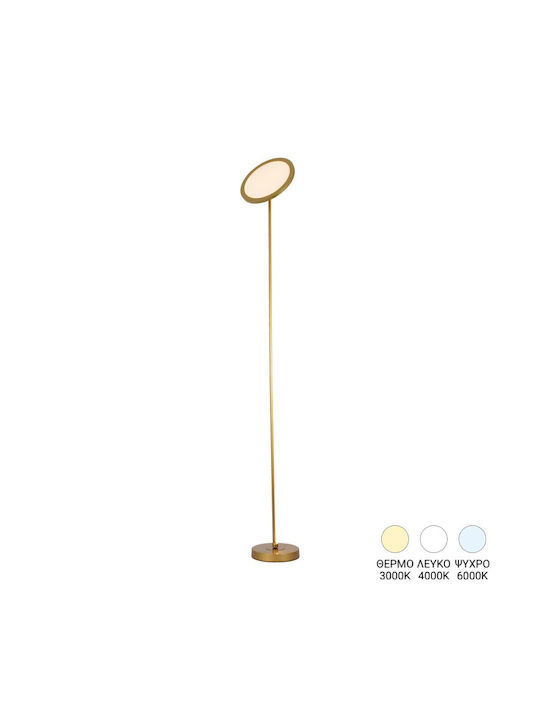 Pakketo Rita LED Φωτιστικό Δαπέδου Υ160xΜ25εκ. ...