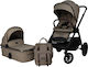 Bebe Stars Mythos Verstellbar 2 in 1 Baby Kinde...