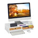 Relaxdays Desktop Stand Monitor White (10039326)