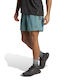 Sport Herren Shorts Grün