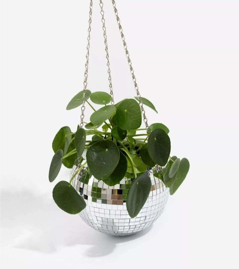 Selected by Pragmatic Blumentopf Mehrfarbig