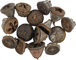 Eucalyptus Seeds 15mm 20mm 25gr