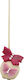 Popcake Zaharpastă – Fluturi ≈35gr./≈5cm