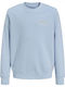 Kinder-Sweatshirt Hellblau