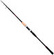 Shimano Sienna Ar Te Gt Fishing Rod For Casting 3m 40-80gr