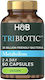 Holland & Barrett Tribiotic Συμπλήρωμα με Προβιοτικά 20mg 60 κάψουλες Πράσινο Τσάι