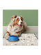 Ango Bath Mat 85116 Grey 40x60cm