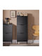 Metal Shoe Cabinet Black W50xD19xH129cm
