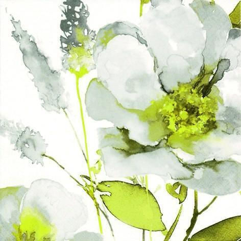 Wall Wallpaper White Wall Wallpaper White