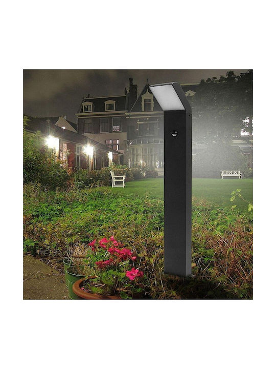 Masterled Außenstehlampen LED 12W