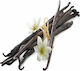 Βανιλια Fructus Uganda Gourmet Sticks