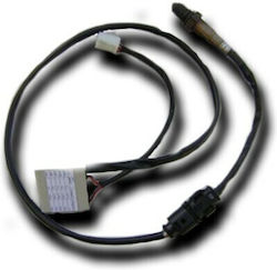 Ignitech Wb1 Nicht Programmierbarer Analogausgangscontroller Wide Band Lambda Sensor