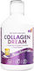 Swedish Nutra Collagen Dream with Hyaluronic Acid 500ml Natural Berry