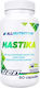AllNutrition Mastika 500mg 60 κάψουλες