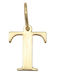 Sorelly Charm Monogramă Din Aur Galben 14 Carate