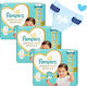 Pampers Tape Diapers Premium Care No. 7 for 15+kg 96pcs