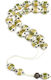 Roloi Komboloi Camel Bone Worry Beads Multicolour 28cm
