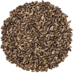 Γαϊδουράγκαθο Σπόρος 60gr