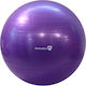 MotivationPro Ball Pilates 65cm 0.8kg in Lila Farbe