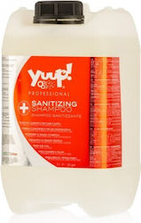 Yuup Professional Sanitizing Shampoo 5l