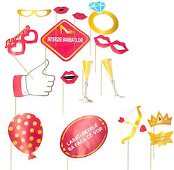 Bachelorette Party Props Set 16 Pieces Multiple Party Accessories