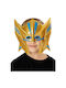 Carnival Mask Thor Rubies 301450