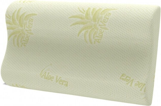 Green Future Aloe Vera Latex Ανατομικό 40x60x11cm