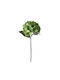 Hydrangea Branch Green Real Touch 2 Leaves Φ18x46cm 24/240pcs