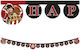 Procos Banner Happy Birthday Pirateninsel