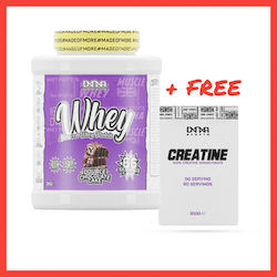 Custom Bundle Combo + Dna Sports Advanced Whey Protein 2kg Vanilla Ice Cream + Creatine Monohydrate 300g Os Custom Bundle Combo + Dna Sports Advanced Whey Protein 2kg Vanilla Ice Cream + Creatine Monohydrate 300g Os
