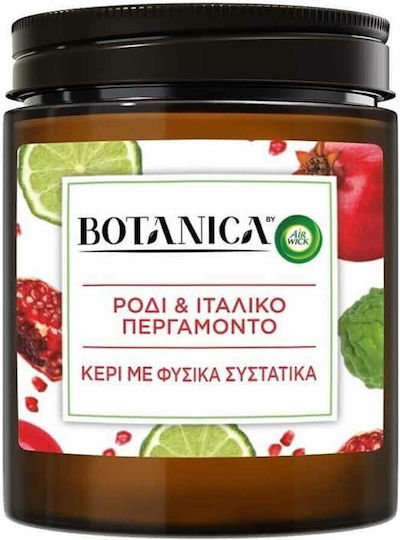 Airwick Lumânare decorativă Botanica 205 g