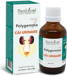 Plant Extract Polygemma 7 50ml Afine